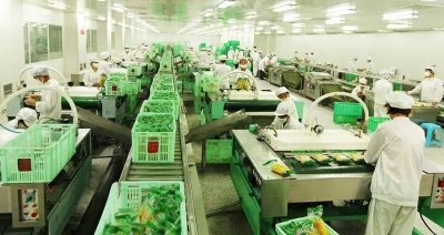 ​甘肃农垦黄羊河集团食品公司：综合改革换轻装 踔厉奋发赴新程