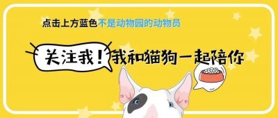 ​地狱萌犬罗威纳：我有的是办法让你心动