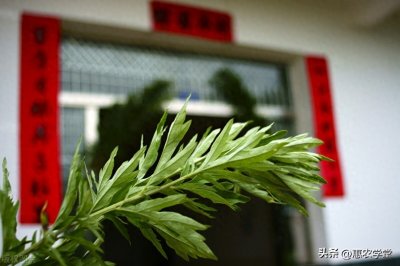 ​为啥端午要在门上挂艾草？哪一天挂最好？有什么讲究？