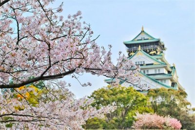 ​日本有哪些独具特色的文化？