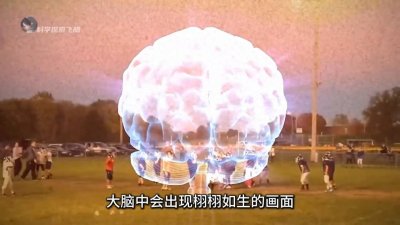 ​你听说过心盲吗？脑海中没有画面是什么样子？