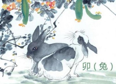 ​和兔子有关的歇后语精选100句