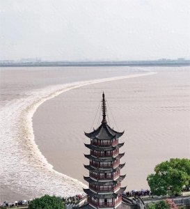 ​国庆从北京去了浙江出差,发现浙江人民生活跟我想象中差别太大了