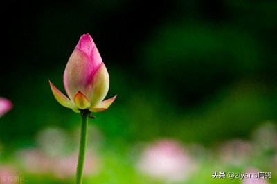 ​古诗词里描写重逢的诗词分享：十年曾一别，征路此相逢。
