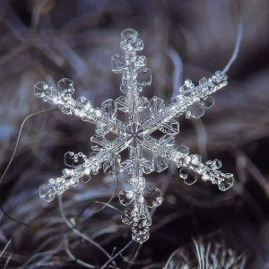 ​《每天一点小知识》——雪花是如何形成的？