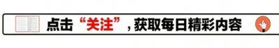 ​中德苏西：苏西爸爸大方接受苏西，并承担抚养费？网友直言：真好