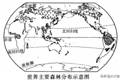 ​地球上森林覆盖率相对较高的十个国家