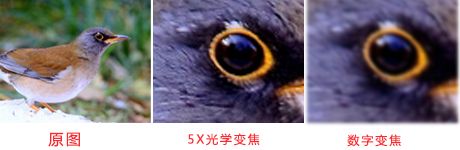128g内存卡监控用几天（科普家用监控摄像头选择技巧）