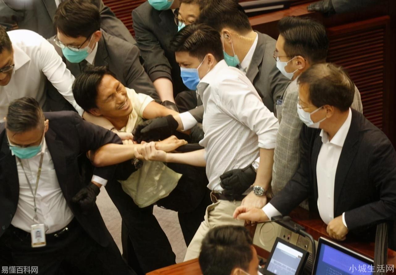 dq是什么意思(dq的网络用语是什么梗)-图4