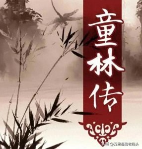 ​童林传：童林的性格就是典型的“慈悲生祸害”