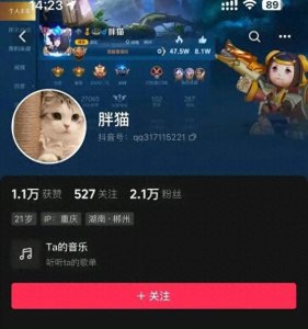 ​19岁王者荣耀陪玩“胖猫”因网恋自杀揭‍秘事件⁢背后的人性纠葛