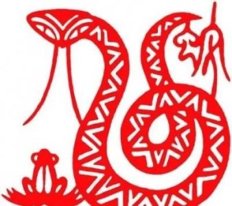 ​巳蛇：5.8～5.12生肖蛇一生最旺的颜色，让你的生活圆满幸福
