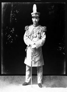 ​“七尺之躯已许国，再难许卿”的松坡将军，爱小凤仙是一大谎言？