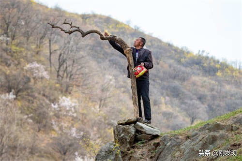 家住大山深处,听鸟语学鸟叫三十年,能把成群的“金凤凰”喊下山