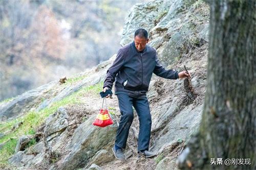 家住大山深处,听鸟语学鸟叫三十年,能把成群的“金凤凰”喊下山