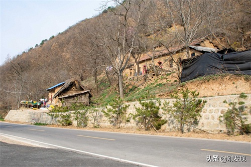 家住大山深处,听鸟语学鸟叫三十年,能把成群的“金凤凰”喊下山