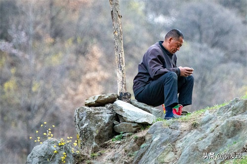 家住大山深处,听鸟语学鸟叫三十年,能把成群的“金凤凰”喊下山