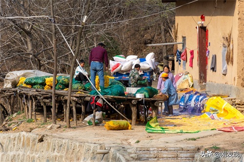 家住大山深处,听鸟语学鸟叫三十年,能把成群的“金凤凰”喊下山