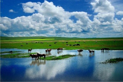 ​分开近百年，内蒙古如何看待蒙古国，看待他们是亲戚还是外国人？
