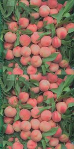 ​可惜你，不说实话，不经诱惑，不懂珍惜，不值一提