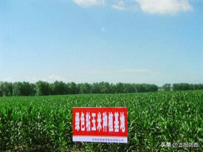 ​“天下第一粮仓”榆树市奋力谱写黑土地高质量发展新华章