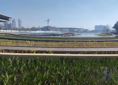 ​“阳泉高铁之殇：阳大铁路能否力挽狂澜？”