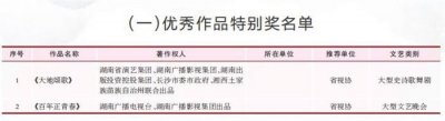 ​第二届湖南省文学艺术奖获奖名单揭晓