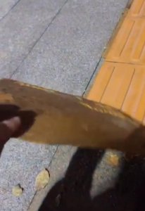 ​河南一马路盲道是贴纸做的，一撕就掉？当地：会交由职能部门核实
