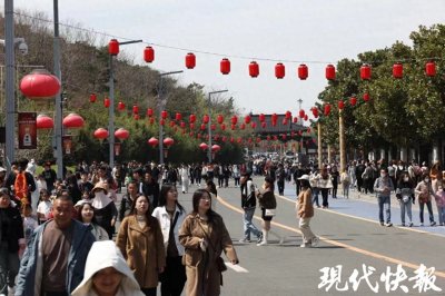 ​登高踏青、赏花露营……游客在连云港大花果山景区尽情享受春日盛宴