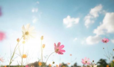 ​倒车入库技巧6个步骤要掌握简单实用