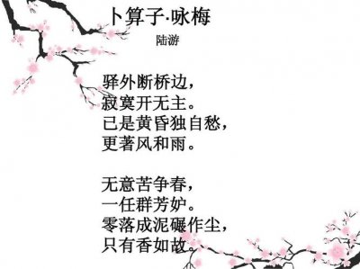 ​卜算子咏梅陆游意思（全文赏析）