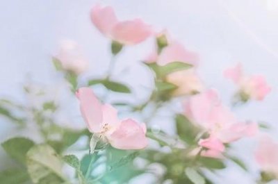 ​燃气灶不打火当啷响怎么办？燃气灶打不着火当啷响