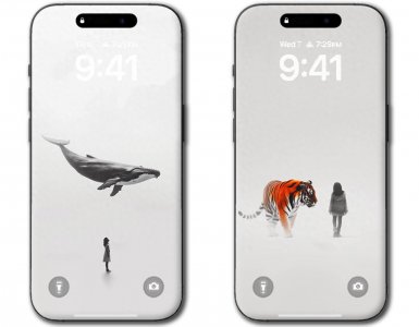 ​梦境壁纸（二）：庄周梦蝶·梦境中的动物