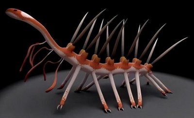 ​背负怪诞两字的生物-怪诞虫