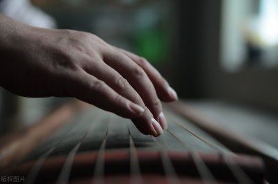 ​素食菜谱—纯素东坡肉