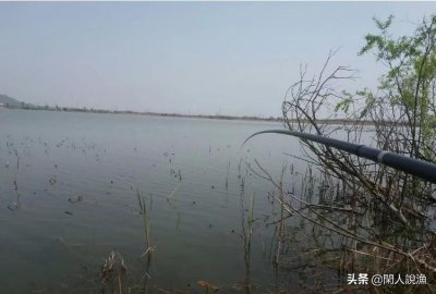​冬季要钓草学问可不少，老钓手传授你几招，现在用最合适，莫不信