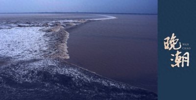 ​晚潮｜我在青芝坞等你