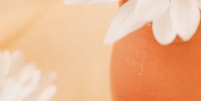 ​伤寒脉结代，心动悸，炙甘草汤主之——炙甘草汤（附方解）