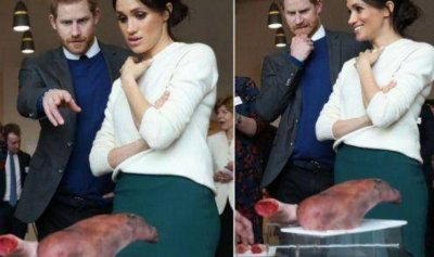 ​梅根王妃厨艺不错，却因表情浮夸被指“刻意”，凯特王妃不一样！