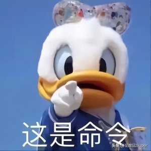 ​情侣犯贱表情包大全，每一个都太真实了|原图无水印