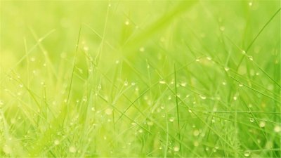 ​82张护眼电脑桌面壁纸，超多超全，唯美漂亮