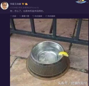 ​王自健晒狗盆 疑讽刺王思聪炫富 网友:王可可都用上爱疯7了！
