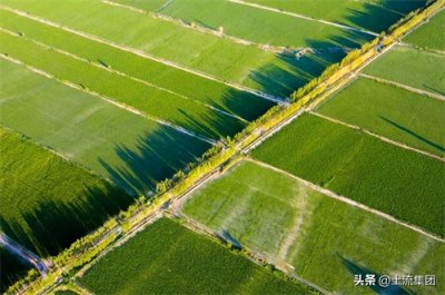 ​2022农业保险保费补贴政策：一亩地赔多少钱？具体怎么理赔？