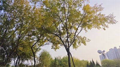 ​品读八字箴言：人生海海，山山而川