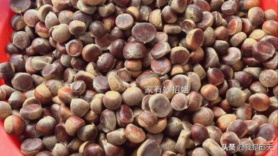 ​生板栗去壳有诀窍，不用剪刀划口，剥的完整还不伤手，太实用了