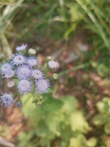 ​我身边的女人们