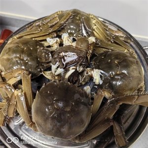 ​35岁失业，暂时找不到出路，跟我这样做