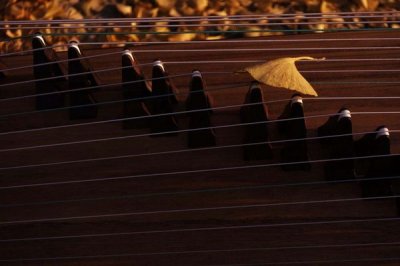 ​(原创)醉美金秋——实拍中国最美的黄金大道（组图）