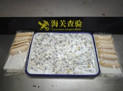 ​查获野蛮活体收获蚁166只！与零食混装！