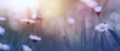 ​一步错步步错